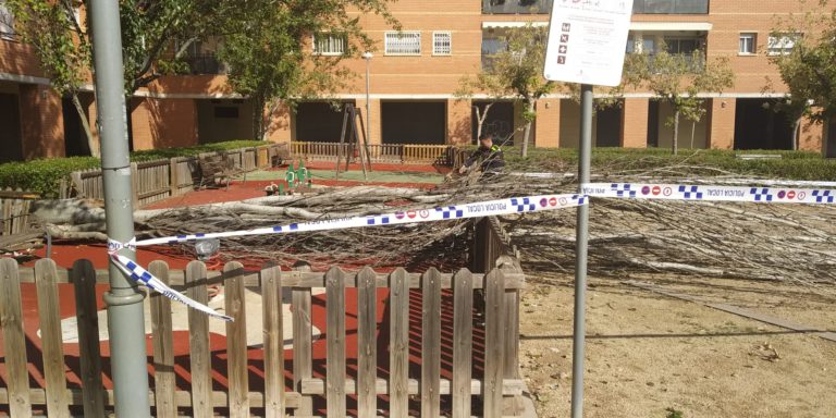 El vent fa caure un arbre a la plaça Europa