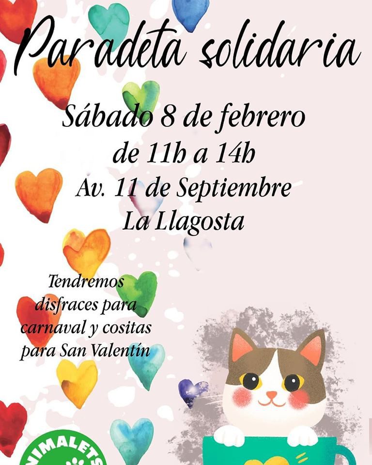Animalets fa una crida per sumar persones voluntàries