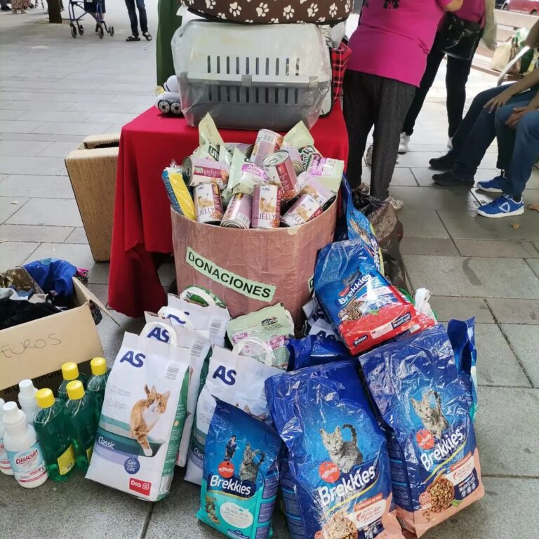 Crida d’Animalets per aconseguir suport de la ciutadania