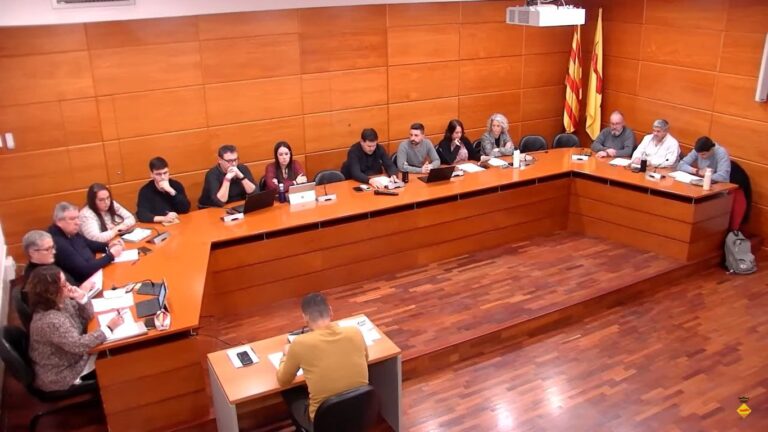 El ple aprova la creació del Consell de Govern