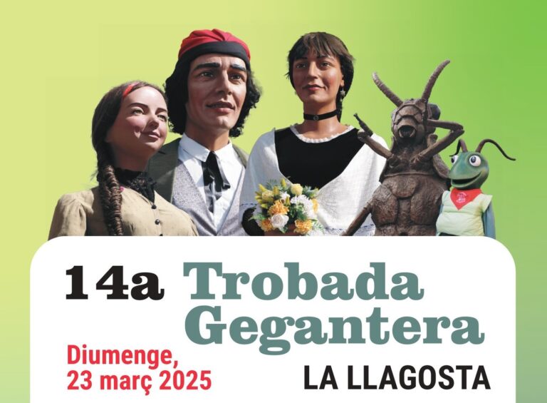 Diumenge, 14a edició de la Trobada Gegantera