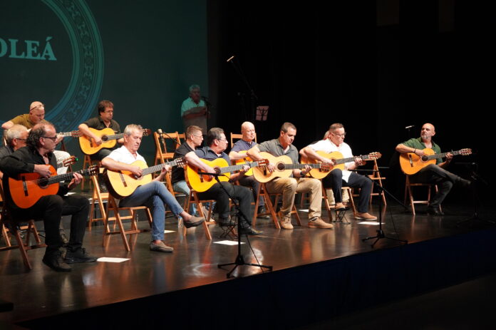 La Llagosta acollirà la delegació a Barcelona de l’Institut de guitarra flamenca Manolo Sanlúcar
